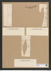 Rhaphoneis belgica Grun. (de-Toni-Nr.: Genus 78, Species 2812) Zeichnungen Sammlung Grunow Nr. 5776 (NHMW-BOT-W0374172)